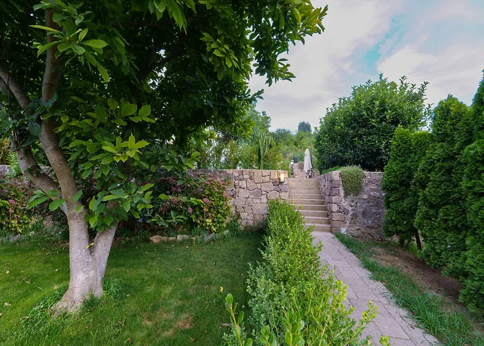 Bed & Breakfast Agave 3*