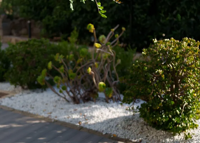 Agave Отель типа 